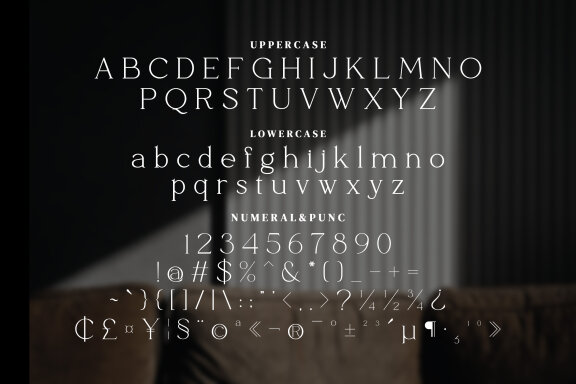 Baswaran Serif Fonts