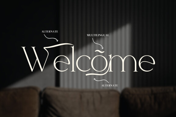 Baswaran Serif Fonts