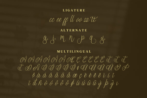 Youfiny Script Fonts