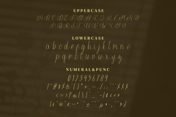 Youfiny Script Fonts