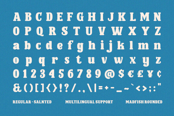 Madfish Typeface  - Rounded Serif Font