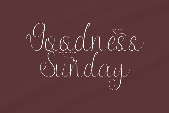 Eqoaby Script Fonts