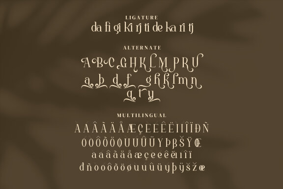 Brigehelyn Serif Fonts