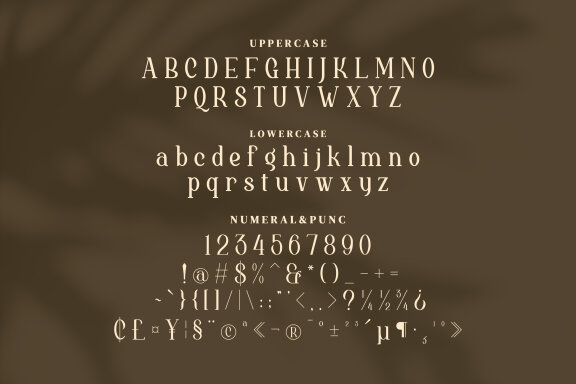 Brigehelyn Serif Fonts