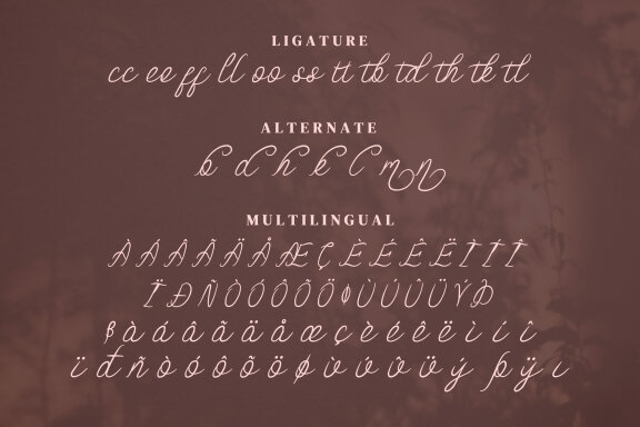 Fothem Script Fonts