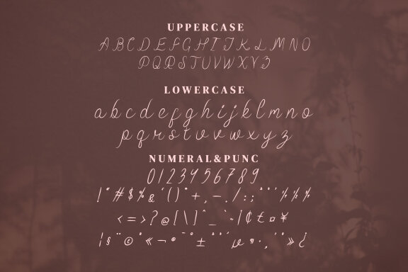 Fothem Script Fonts