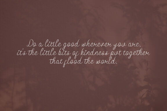 Fothem Script Fonts