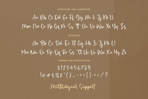 Bomdia - Handwritten Script Font