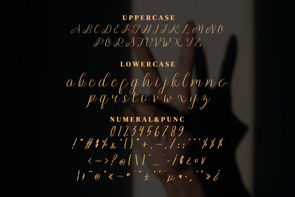 Brugundy FREE Script
