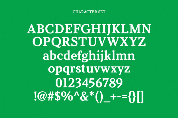 Polga Display Serif Font
