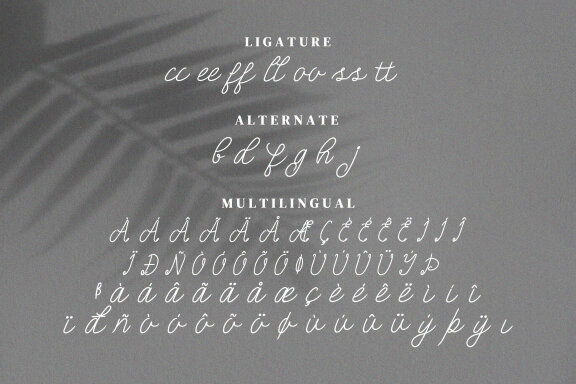 Be Rush Script Fonts