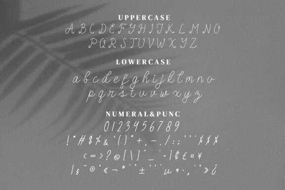 Be Rush Script Fonts