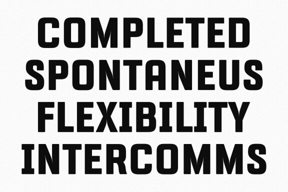 Riegal Display Sans Font