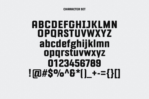 Riegal Display Sans Font