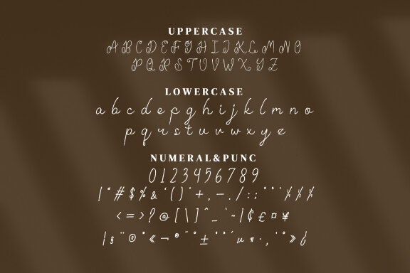 Emillam Script Fonts