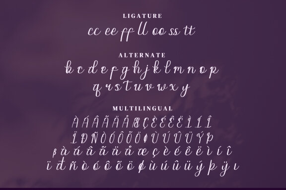 Paletta Script Fonts