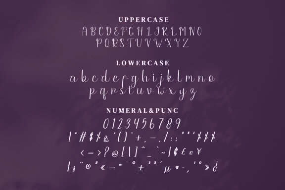 Paletta Script Fonts