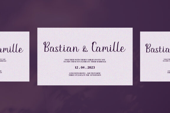 Paletta Script Fonts