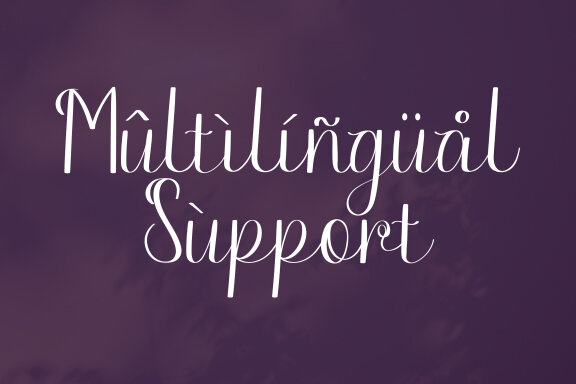 Paletta Script Fonts