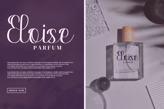 Paletta Script Fonts