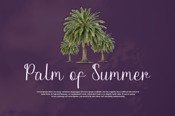 Paletta Script Fonts