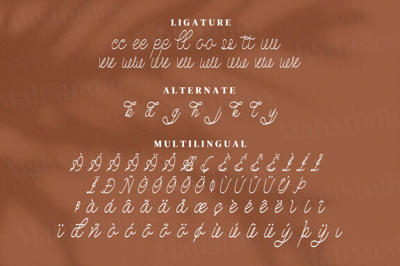 Grolly Script Fonts