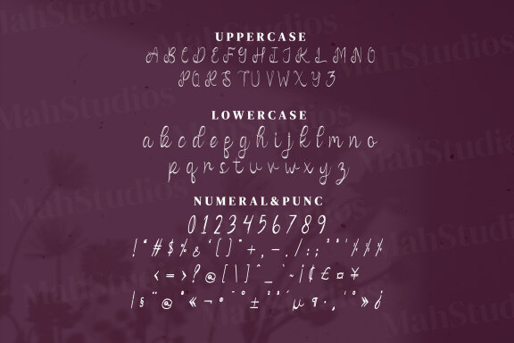Vanadoora Script Fonts