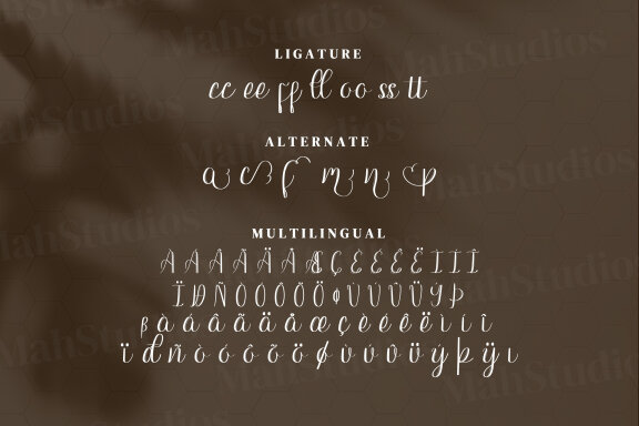 Writta Script Fonts