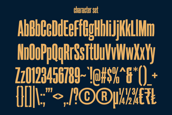 Bastler Condensed Sans Display Font