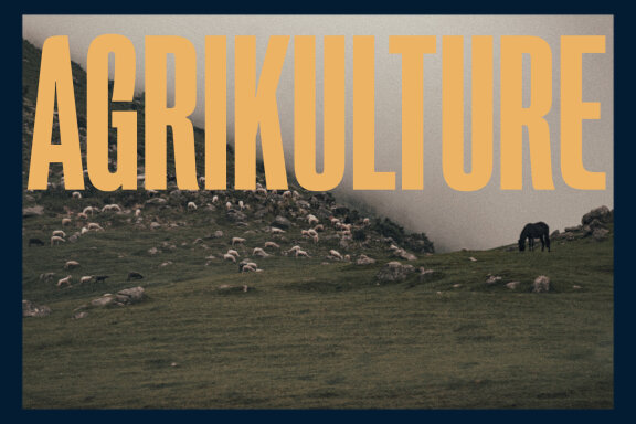 Bastler Condensed Sans Display Font
