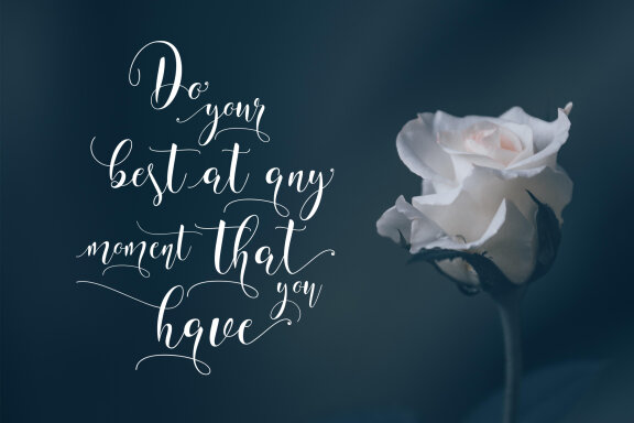 Willshering Script