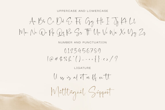 Saint Timothy - Modern Script Font