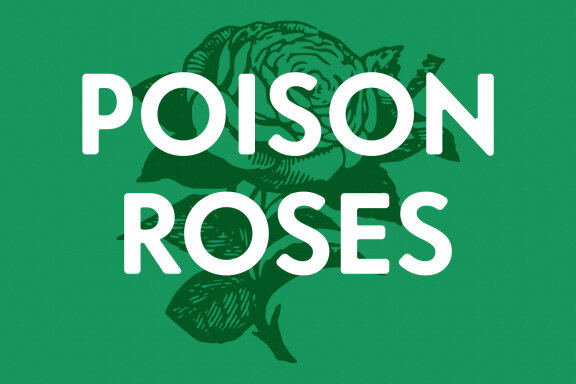 Barjon Display Sans Font