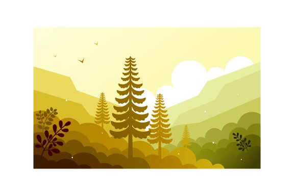 Afternoon view of the forest