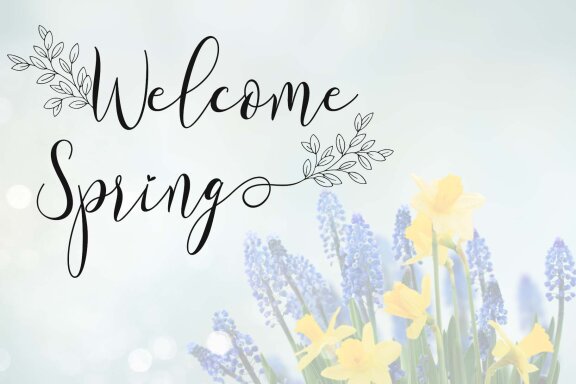 Spring Morning