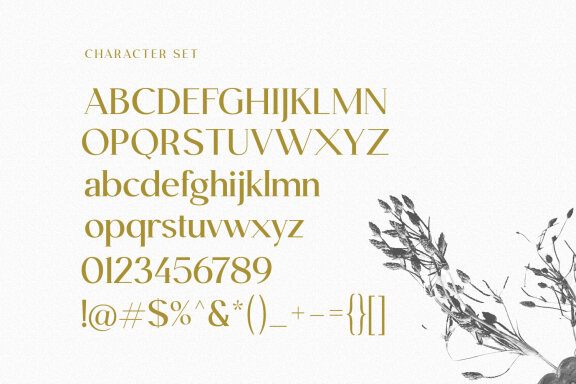 Rilano Serif Display Font