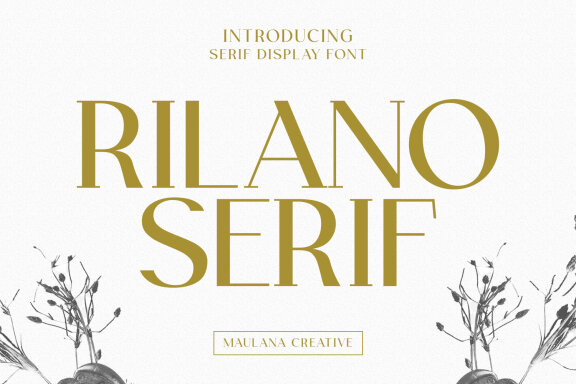 Rilano Serif Display Font