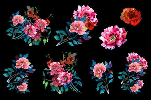 Pink peonies watercolor clipart