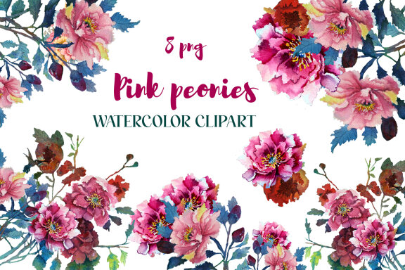Pink peonies watercolor clipart