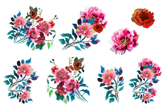 Pink peonies watercolor clipart