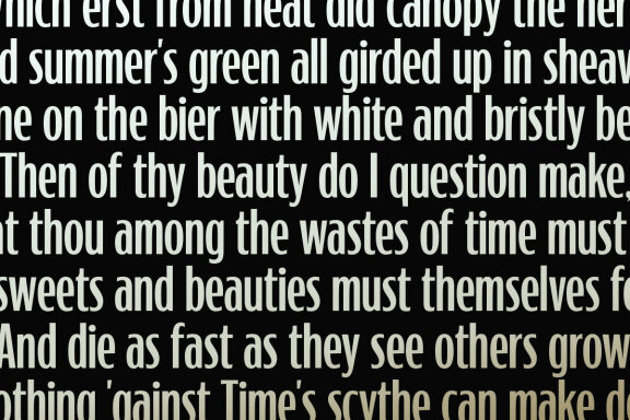 Banerton- Condensed Sans Serif