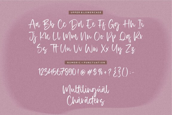 Authentica a Modern Calligraphy Font