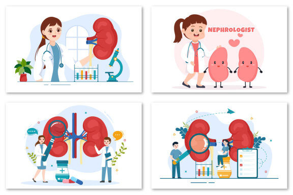 12 Nephrologist Vector Illustration