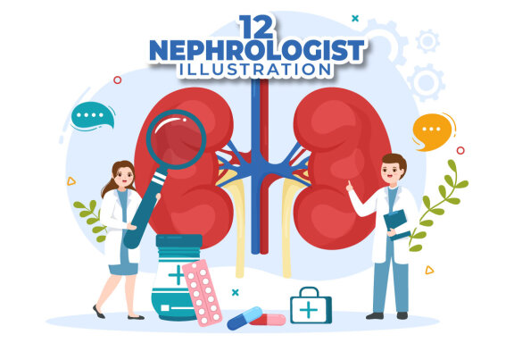 12 Nephrologist Vector Illustration