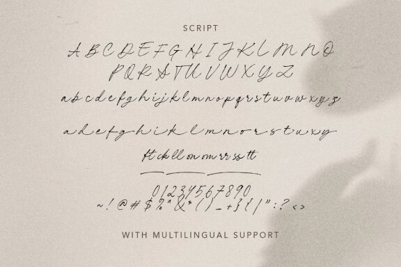 Claire Palmer- Elegant Font Duo
