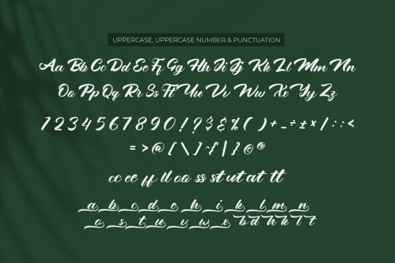 Minah - Handwriting Script Font