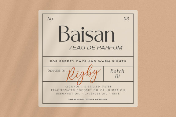 Obviosa - Modern Serif