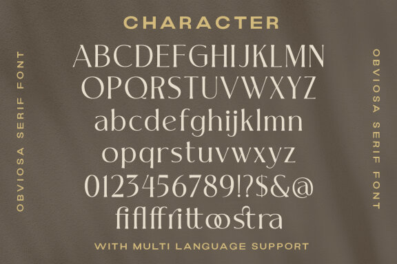 Obviosa - Modern Serif