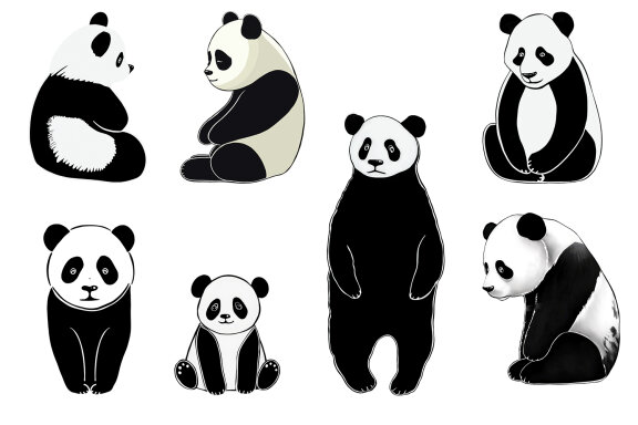 Clipart Panda & Family. Animals Collection