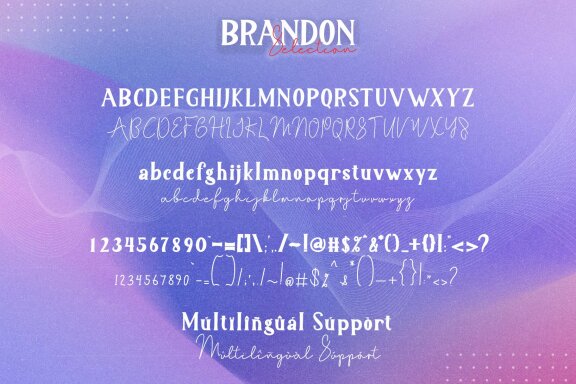 Brandon Selection